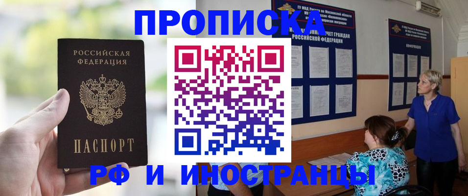 где прописаться в Димитровграде